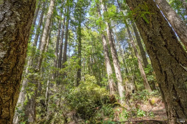 $175,000 | 335 Deerfield Road, The Sea Ranch, CA 95497