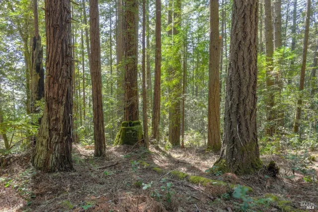 $175,000 | 335 Deerfield Road, The Sea Ranch, CA 95497