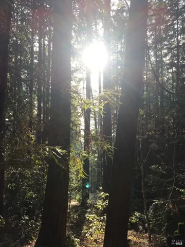 $175,000 | 335 Deerfield Road, The Sea Ranch, CA 95497