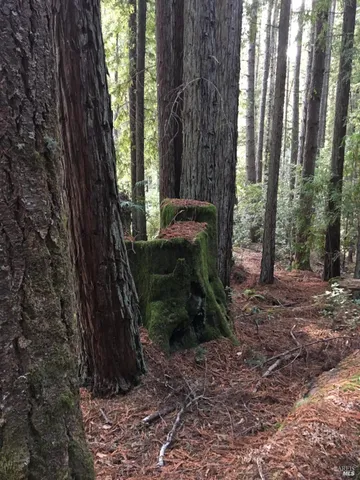 $175,000 | 335 Deerfield Road, The Sea Ranch, CA 95497