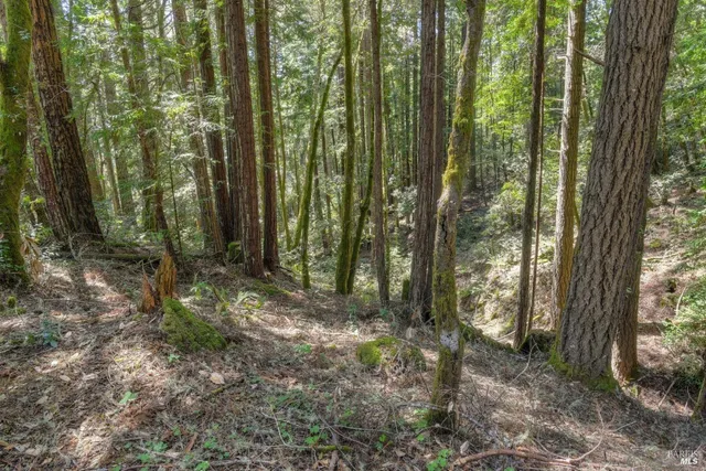 $175,000 | 335 Deerfield Road, The Sea Ranch, CA 95497