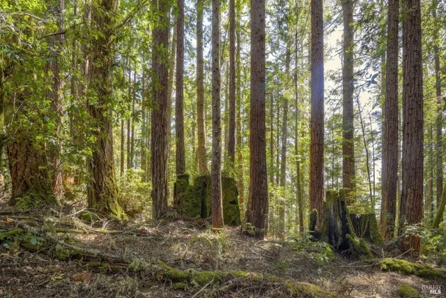 $175,000 | 335 Deerfield Road, The Sea Ranch, CA 95497