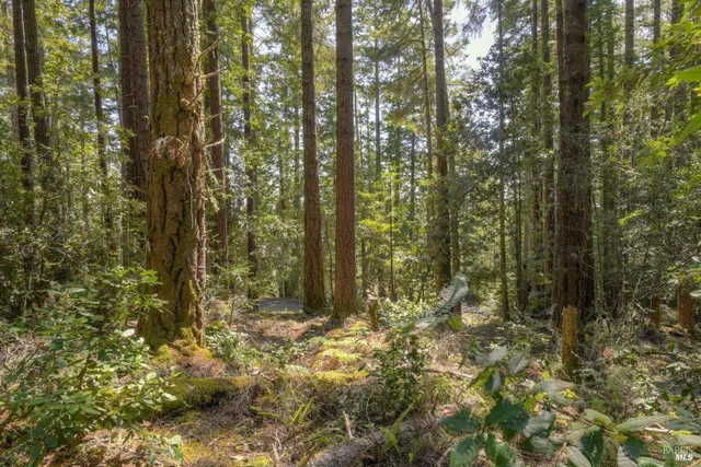 $175,000 | 335 Deerfield Road, The Sea Ranch, CA 95497
