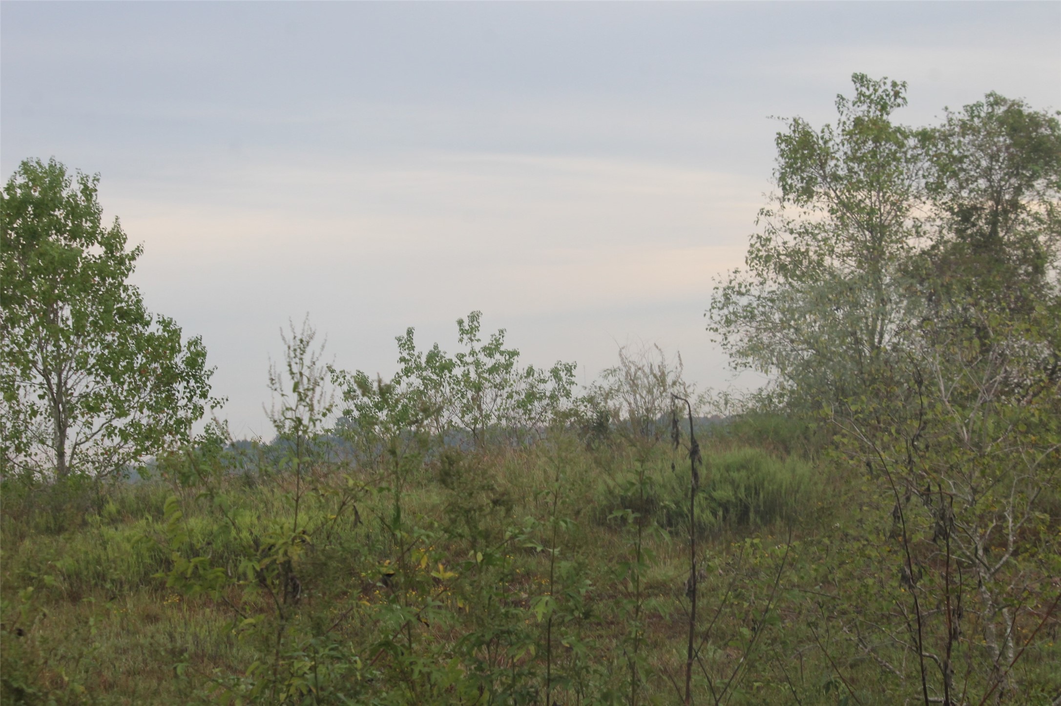 0 Todd Winnie, TX 77665 - Photo 4 of 6