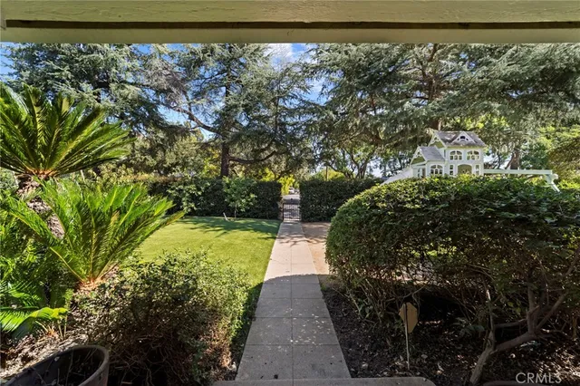a view of a porch with a tree