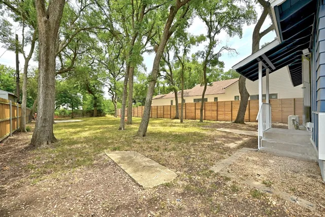 a view of a yard with tree s