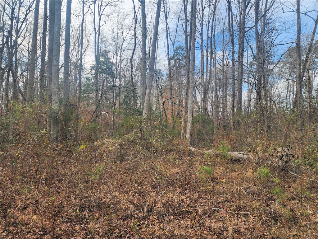 3068 State Rd S-30-40 Gray Court, SC 29645 - Photo 11 of 32
