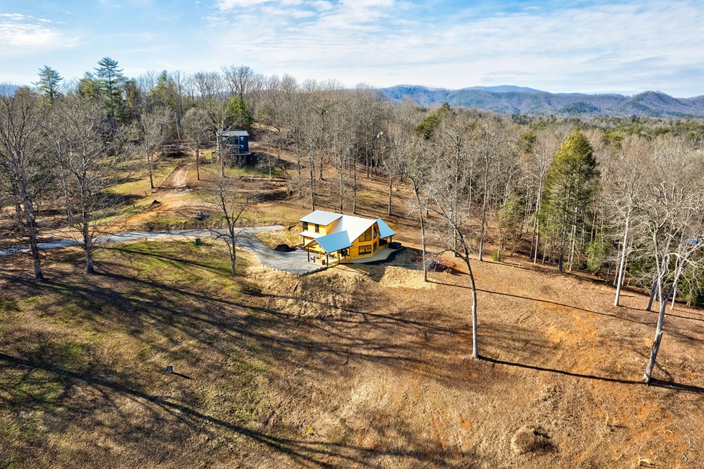 187 Briar Wds Lane Blue Ridge, GA 30513 - Photo 9 of 63 Gallery Image 9