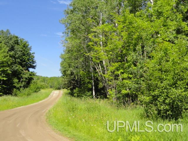 Tbd Puuri Road Baraga, MI 49908 - Photo 18 of 20