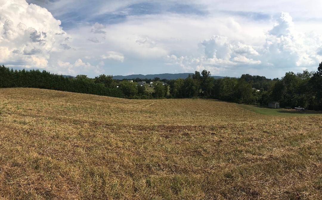 730 Helton Road Maryville, TN 37804 - Photo 1 of 7 IMG_0200