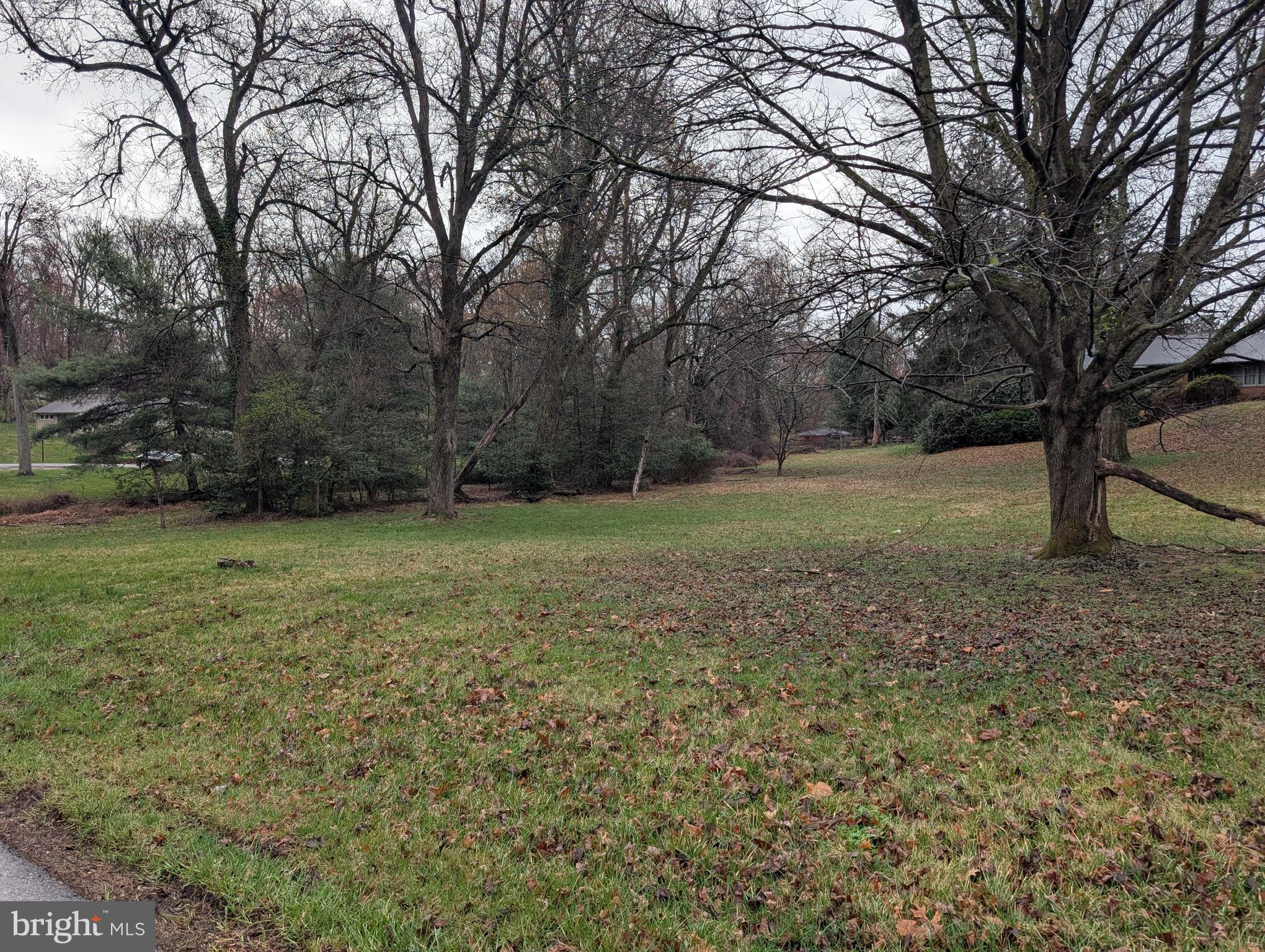 523 Copley Lane Silver Spring, MD 20904 - Photo 12 of 20 a view of outdoor space with trees