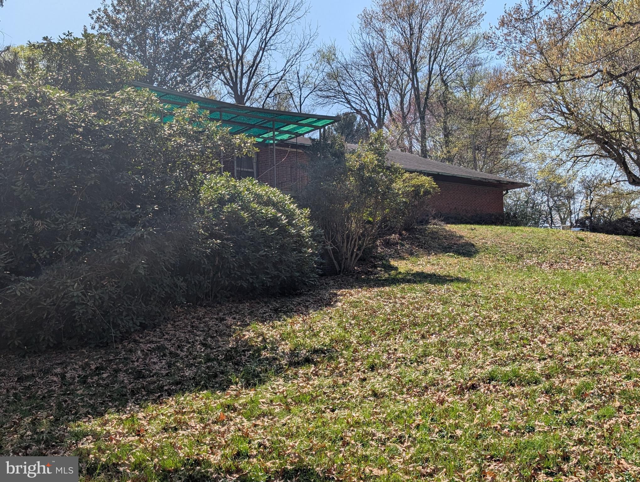 523 Copley Lane Silver Spring, MD 20904 - Photo 13 of 20 a view of a yard with plants and trees