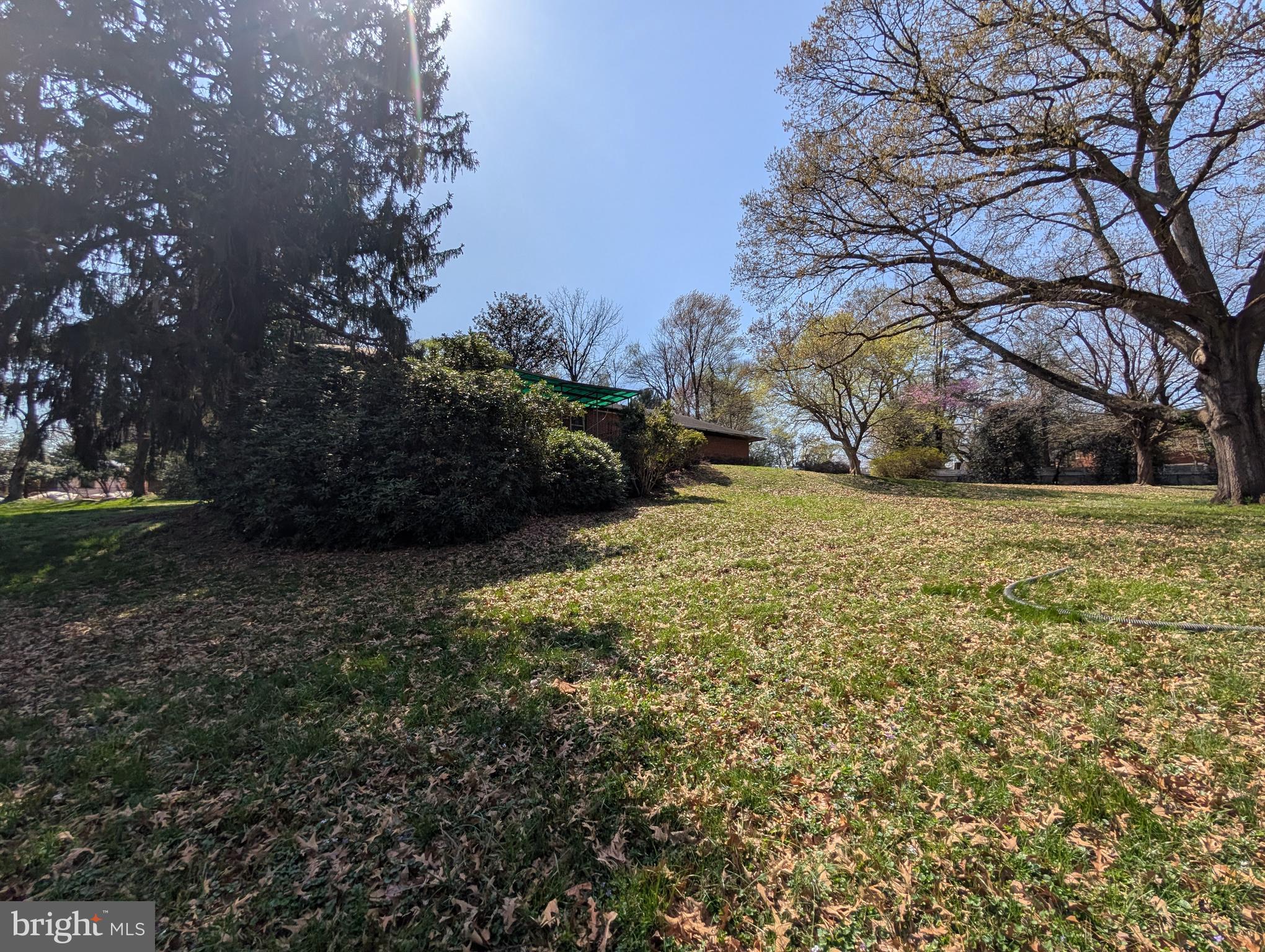523 Copley Lane Silver Spring, MD 20904 - Photo 16 of 20 a view of a yard with large trees
