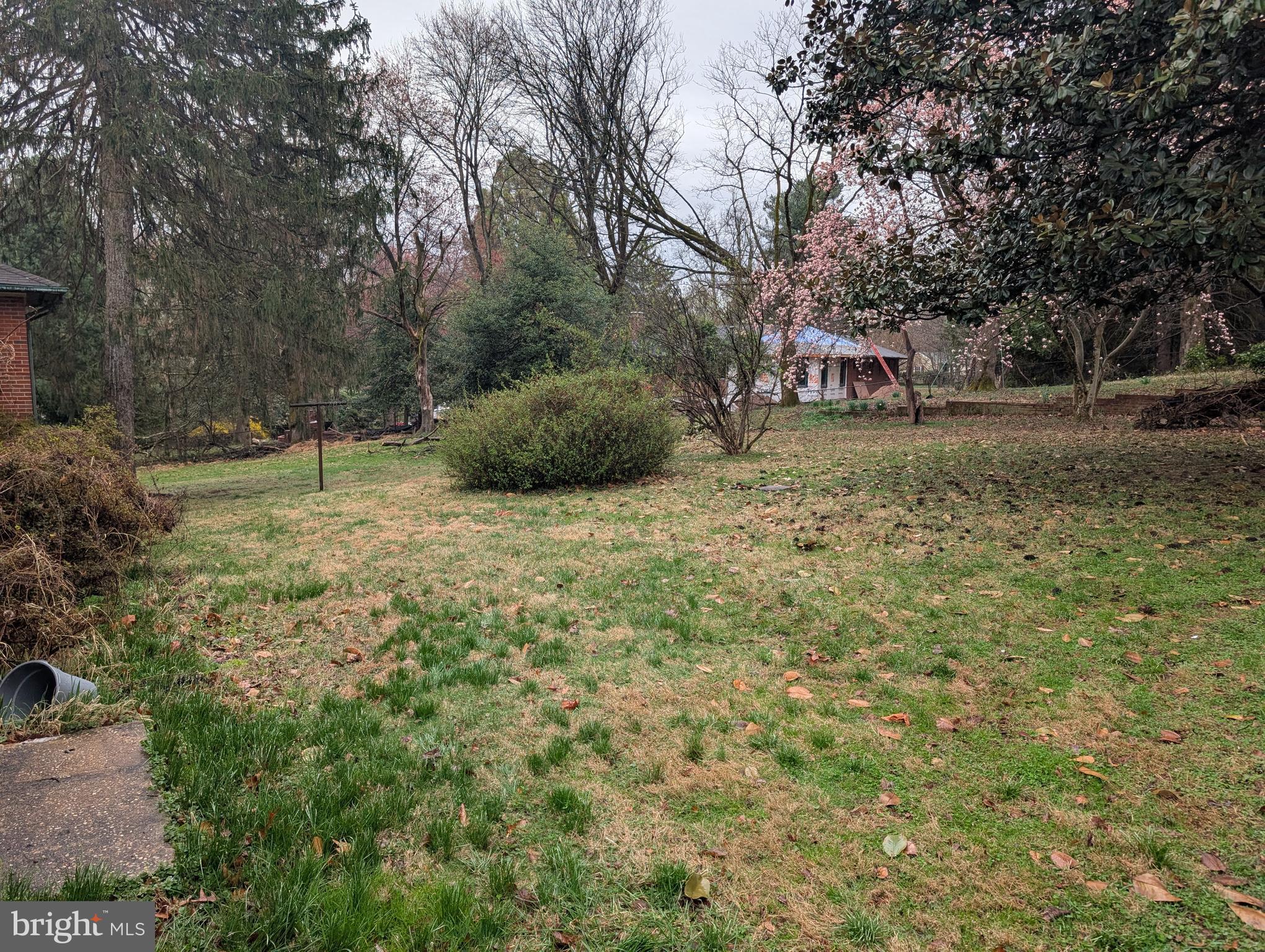 523 Copley Lane Silver Spring, MD 20904 - Photo 6 of 20 a view of a tree in a yard