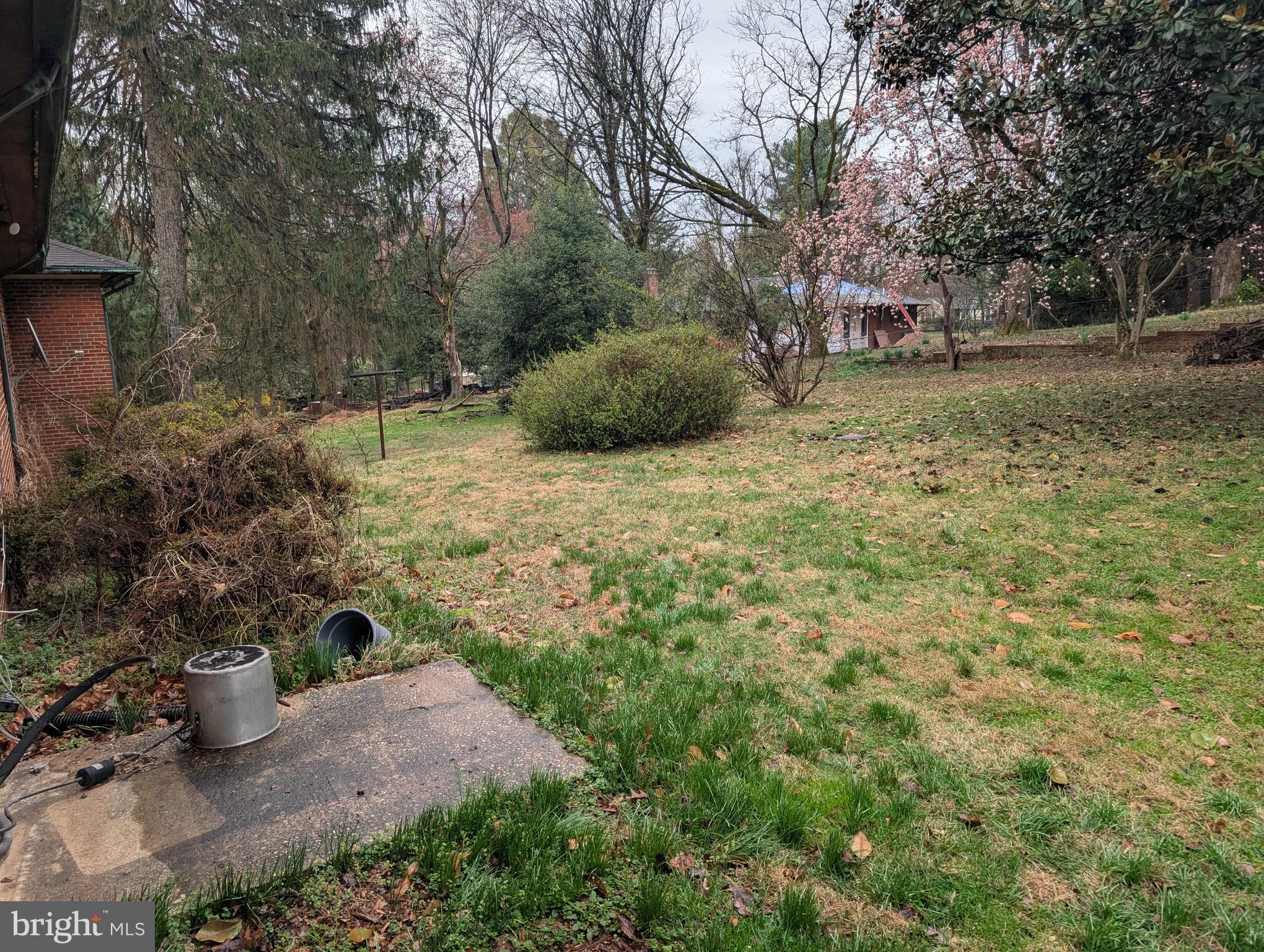 523 Copley Lane Silver Spring, MD 20904 - Photo 7 of 20 a backyard of a house with lots of green space