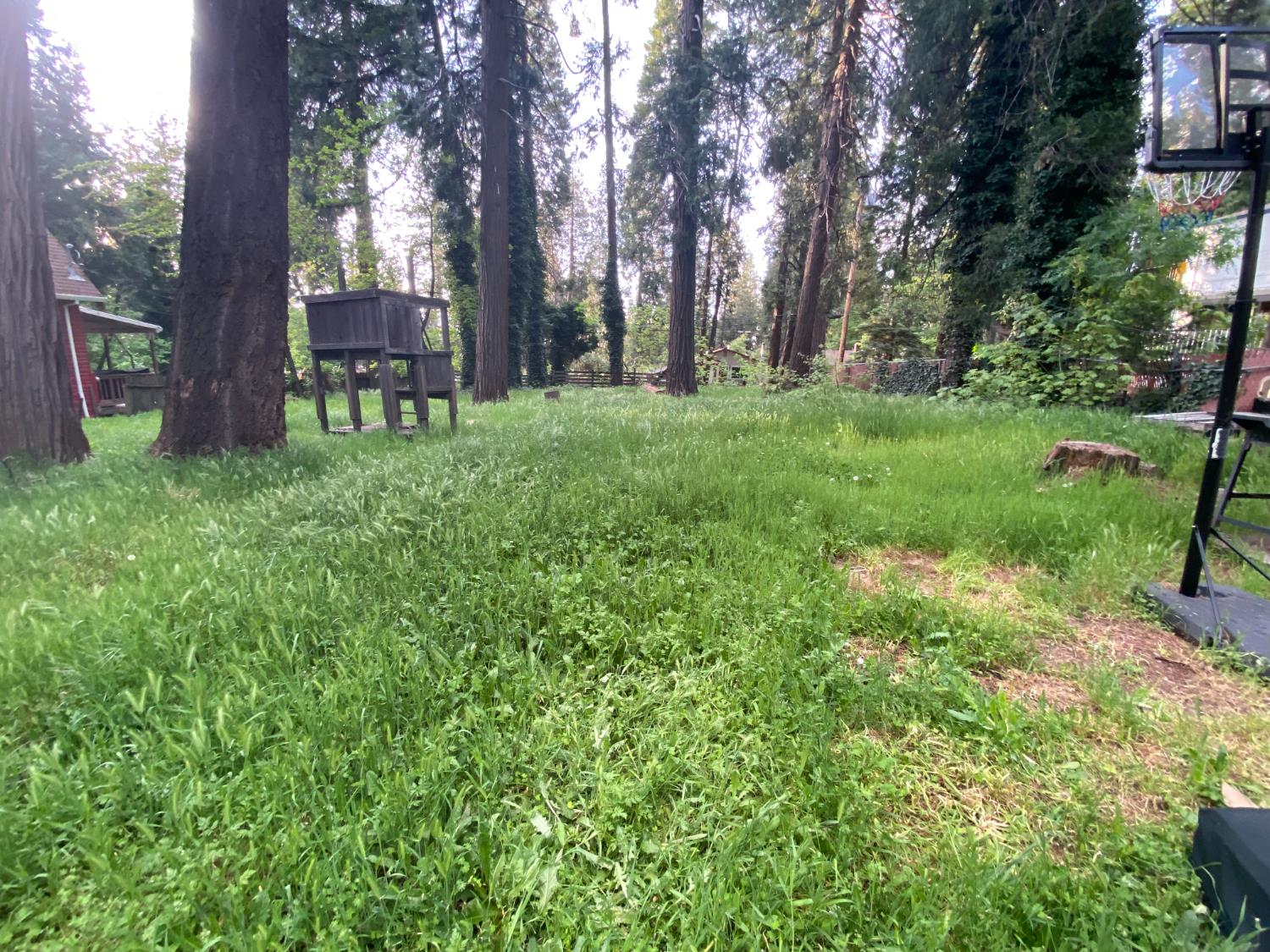 6201 Pony Express Trail Pollock Pines, CA 95726 - Photo 10 of 12