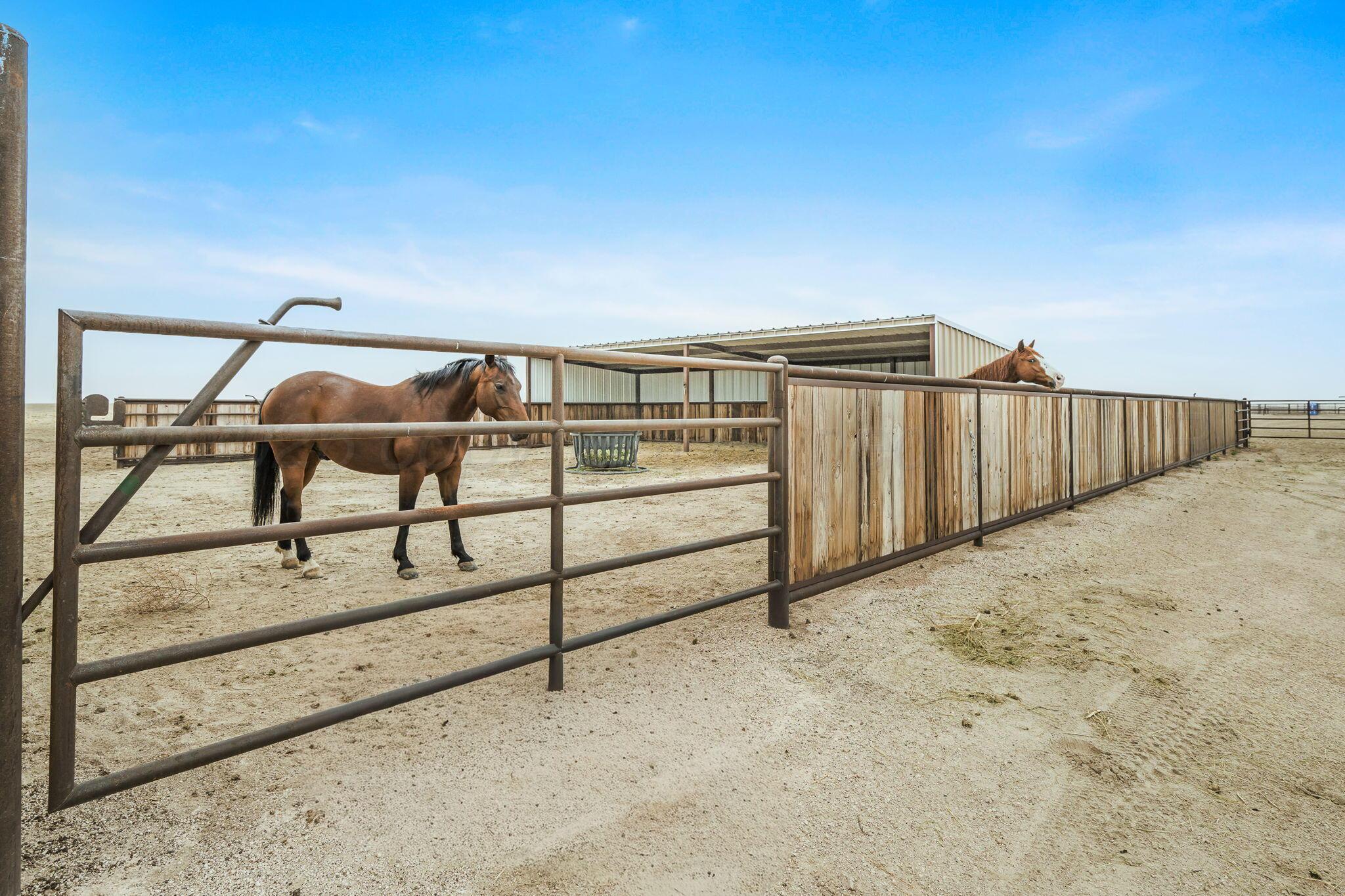 7501 West Fm 1705 Happy, TX 79042 - Photo 41 of 58 7501 FM 1705 44
