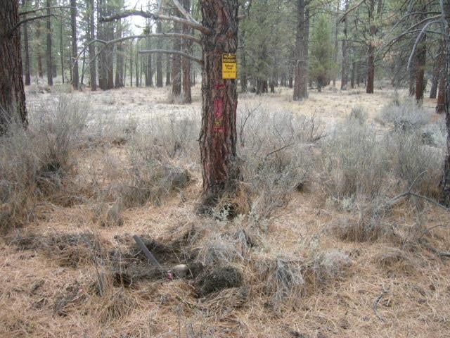 4.29 Acres Antelope Road Macdoel, CA 96058 - Photo 14 of 14 Gallery Image 14