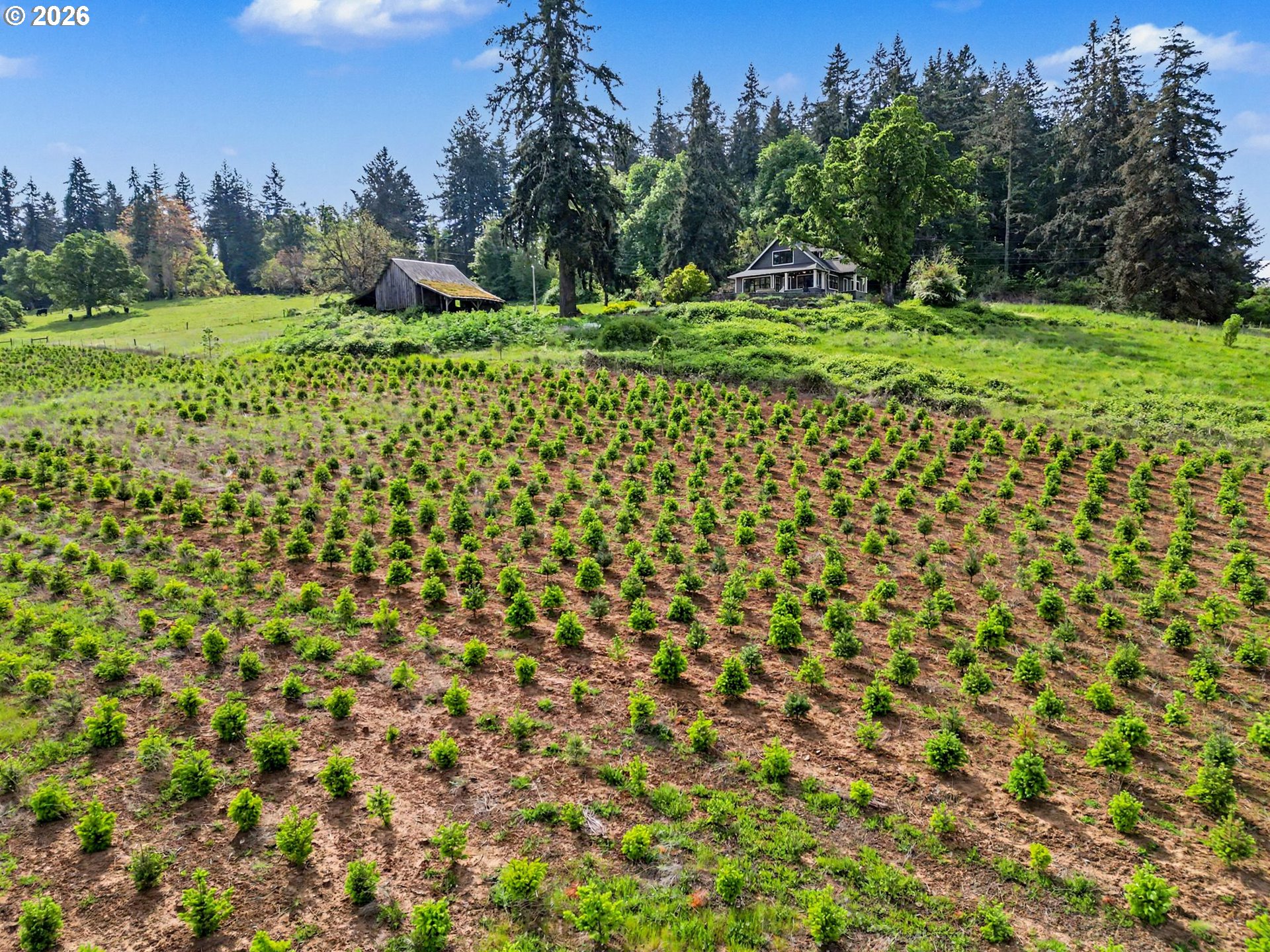 17135 Herigstad Road Northeast Silverton, OR 97381 - Photo 46 of 48 a view of a green field