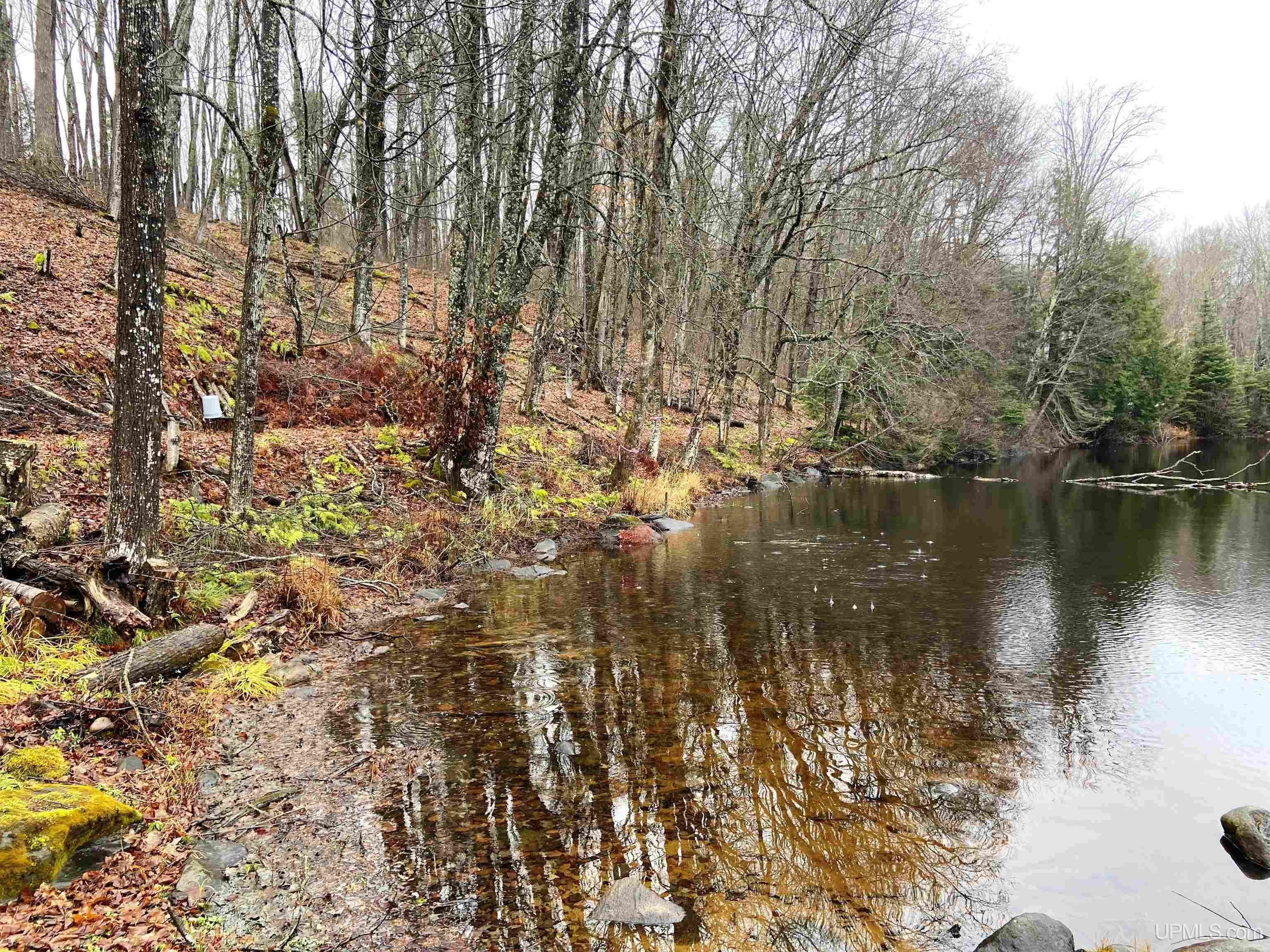 Tbd West Tamarack Lake Road, Unit LOT 5 Watersmeet, MI 49969 - Photo 7 of 66