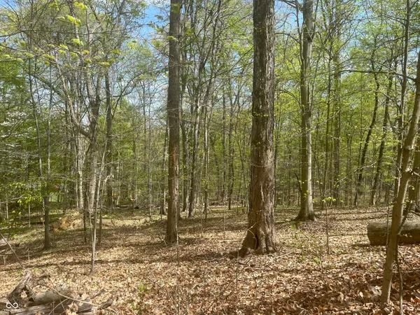 $29,000 | N Oxford Ct Oxford North Court, Martinsville, IN 46151