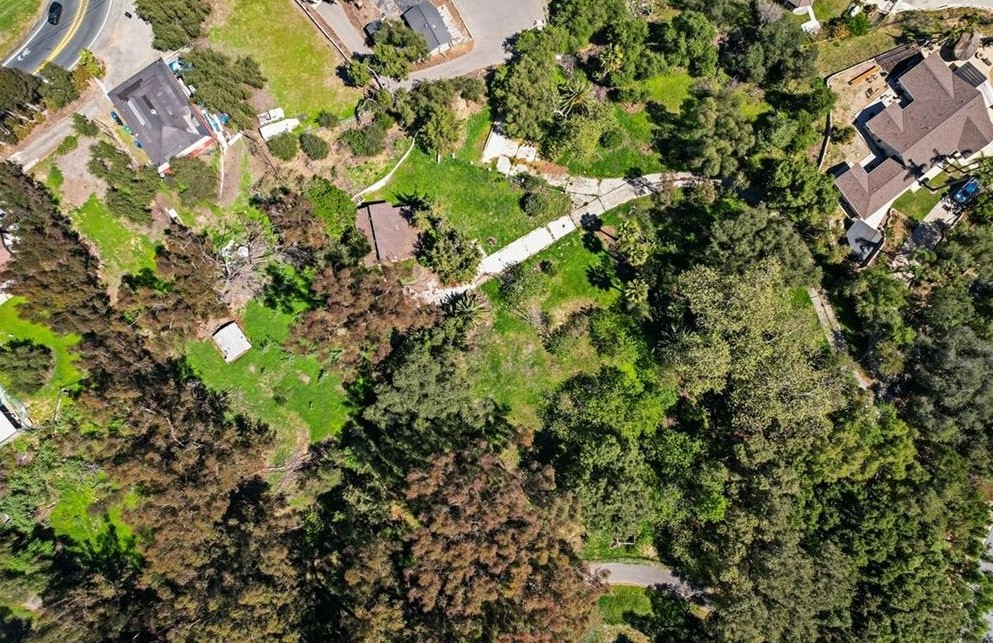 2222 Carbon Canyon Road Chino Hills, CA 91709 - Photo 12 of 20 a view of a plant with a plant