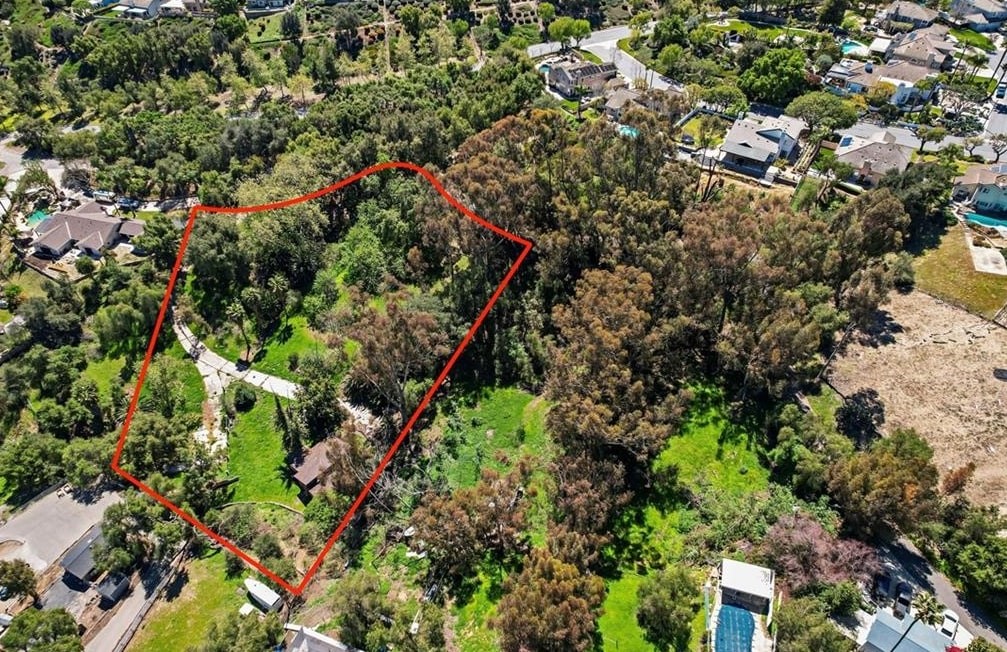 2222 Carbon Canyon Road Chino Hills, CA 91709 - Photo 3 of 20 a picture of tree