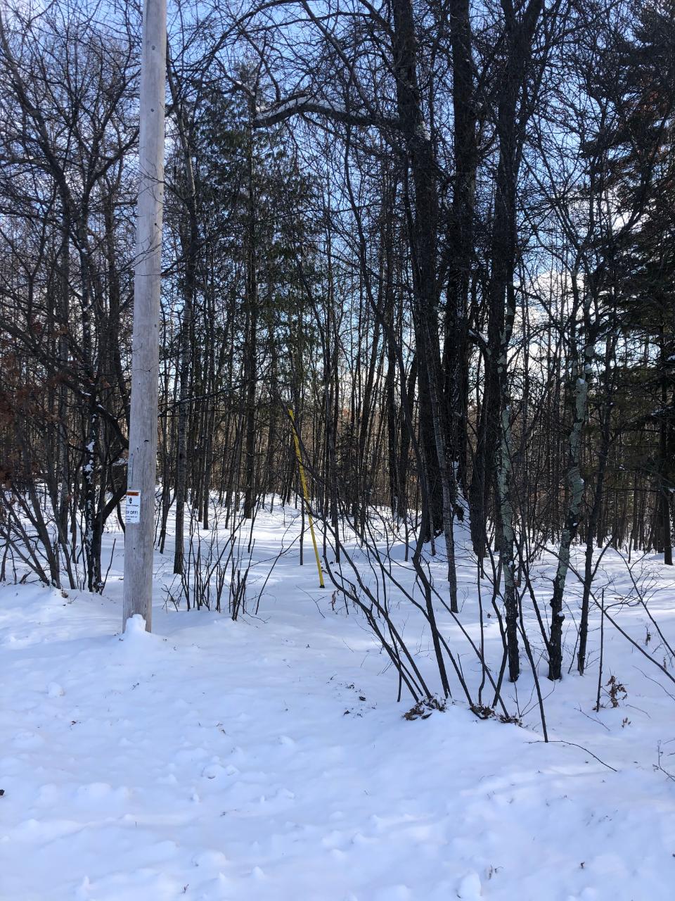 On Ernst Road Tomahawk, WI 54487 - Photo 1 of 6 Gallery Image 1