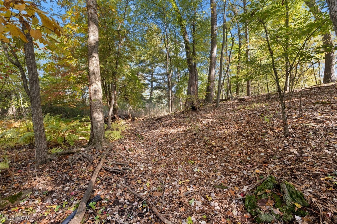 West Comet Road Clinton, OH 44216 - Photo 15 of 26 View of nature