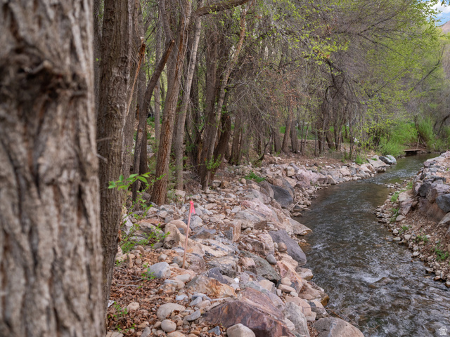 1544 East 1200 S Street Springville, UT 84663 - Photo 14 of 21 View of local wilderness featuring a nearby body of water