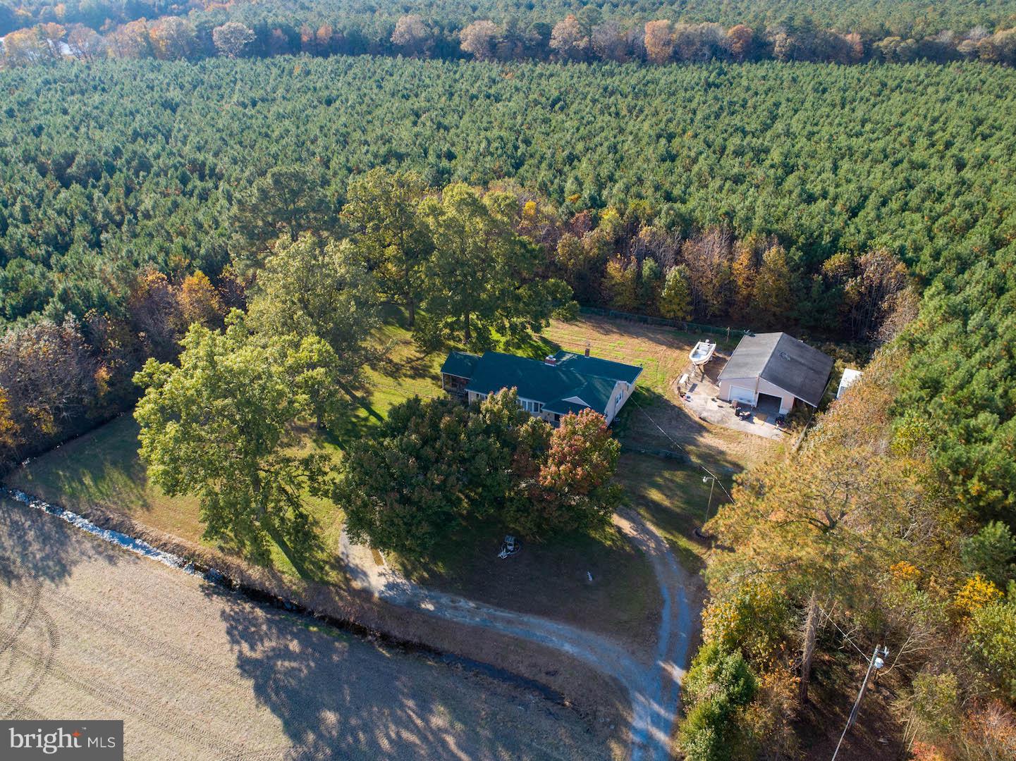 31656 College Backbone Road Princess Anne, MD 21853 - Photo 5 of 31 an aerial view of a house with a yard