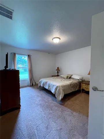 a view of a garden with potted plants