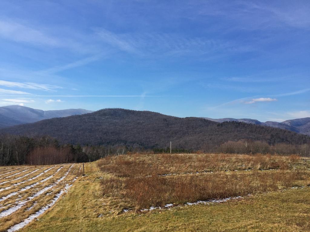 0 Fuller Hill Road Warren, VT 05674 - Photo 5 of 15