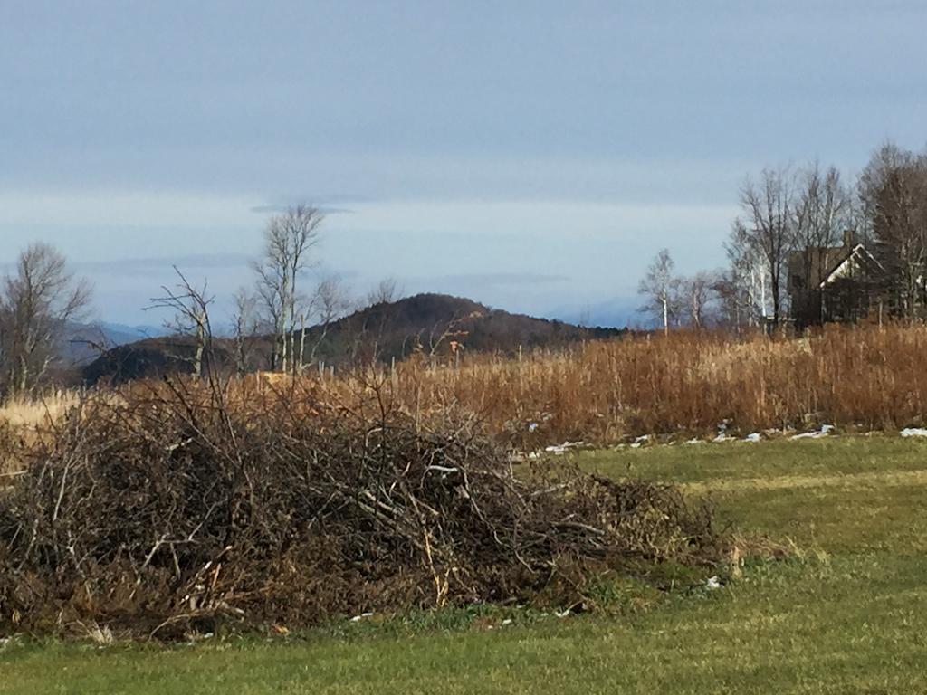 0 Fuller Hill Road Warren, VT 05674 - Photo 8 of 15