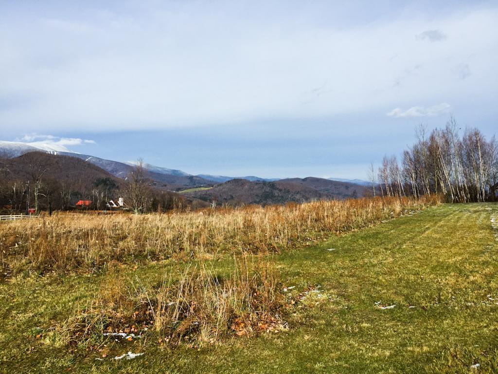 0 Fuller Hill Road Warren, VT 05674 - Photo 10 of 15