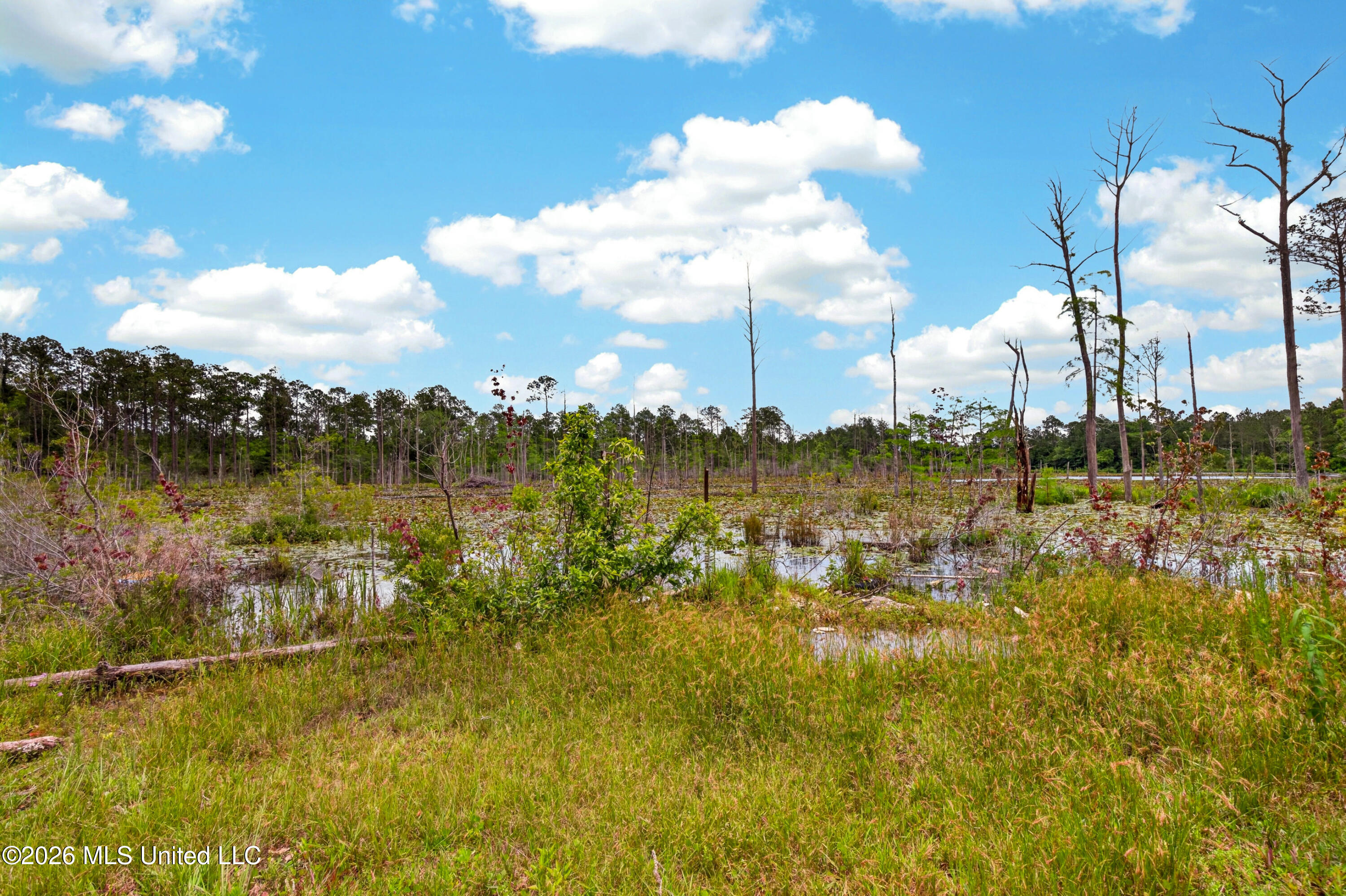 17990 Cuevas Road Kiln, MS 39556 - Photo 45 of 76 17990CuevasRd.-25