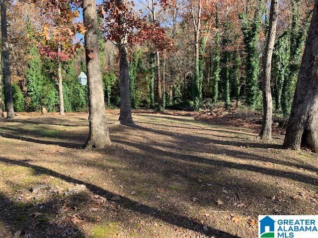 3369 Queenstown Road Trussville, AL 35173 - Photo 31 of 40