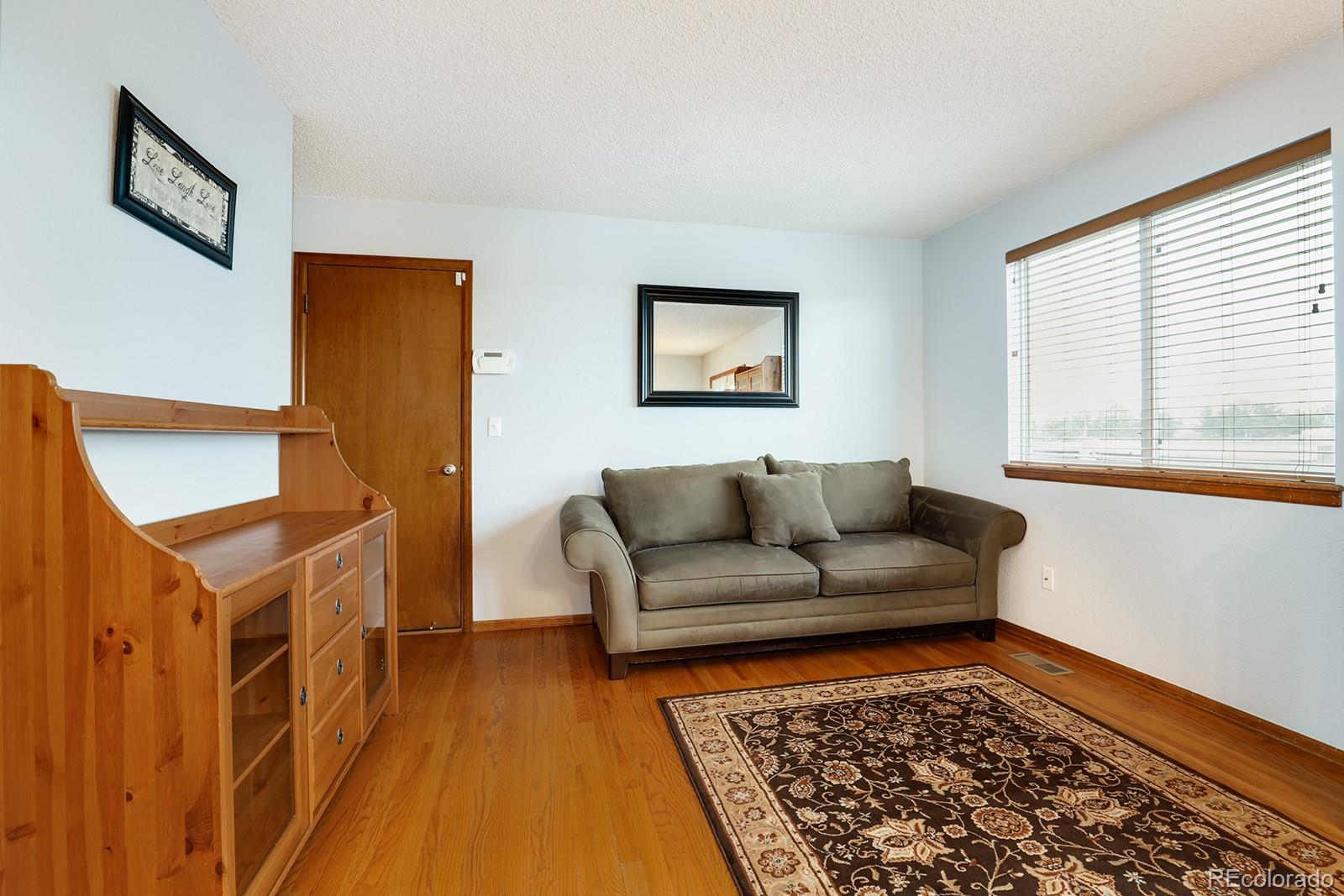 1055 Cobblestone Drive Highlands Ranch, CO 80126 - Photo 11 of 31 a living room with a couch and a rug