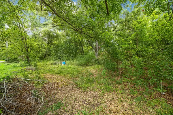 a view of a yard with a tree