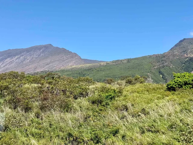 $1,275,000 | 34701 Piilani Highway, Kula, HI 96790