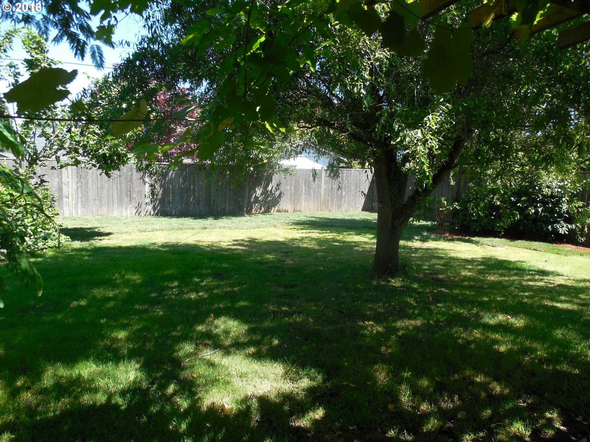206 V Street Springfield, OR 97477 - Photo 10 of 10