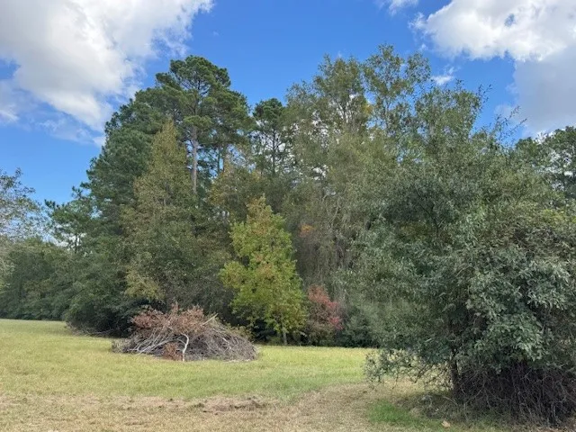 a view of a yard with an outdoor space