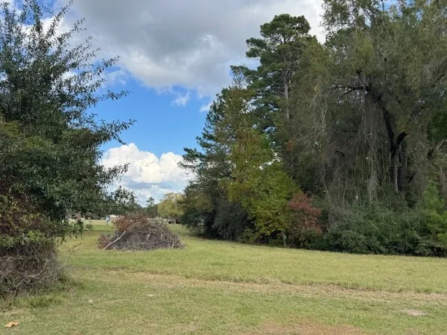 a view of a field with plants and trees
