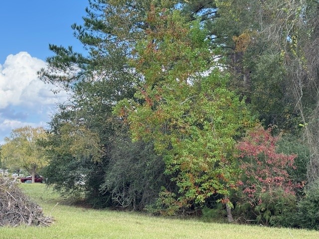 9 Morningside Street Trinity, TX 75862 - Photo 5 of 8 a view of a field with plants and trees