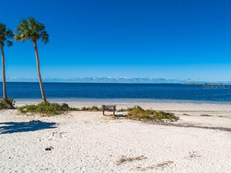 1106 Goshen Road Tarpon Springs, FL 34689 - Photo 34 of 39