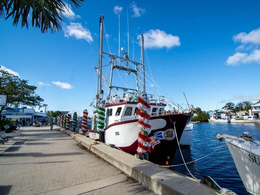 1106 Goshen Road Tarpon Springs, FL 34689 - Photo 38 of 39