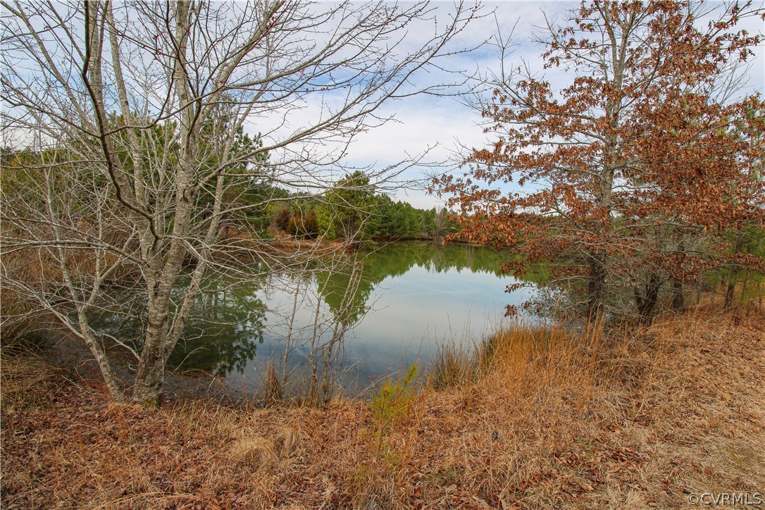 7201 B Mt Hope Road Prince George, VA 23875 - Photo 17 of 18 Gallery Image 17