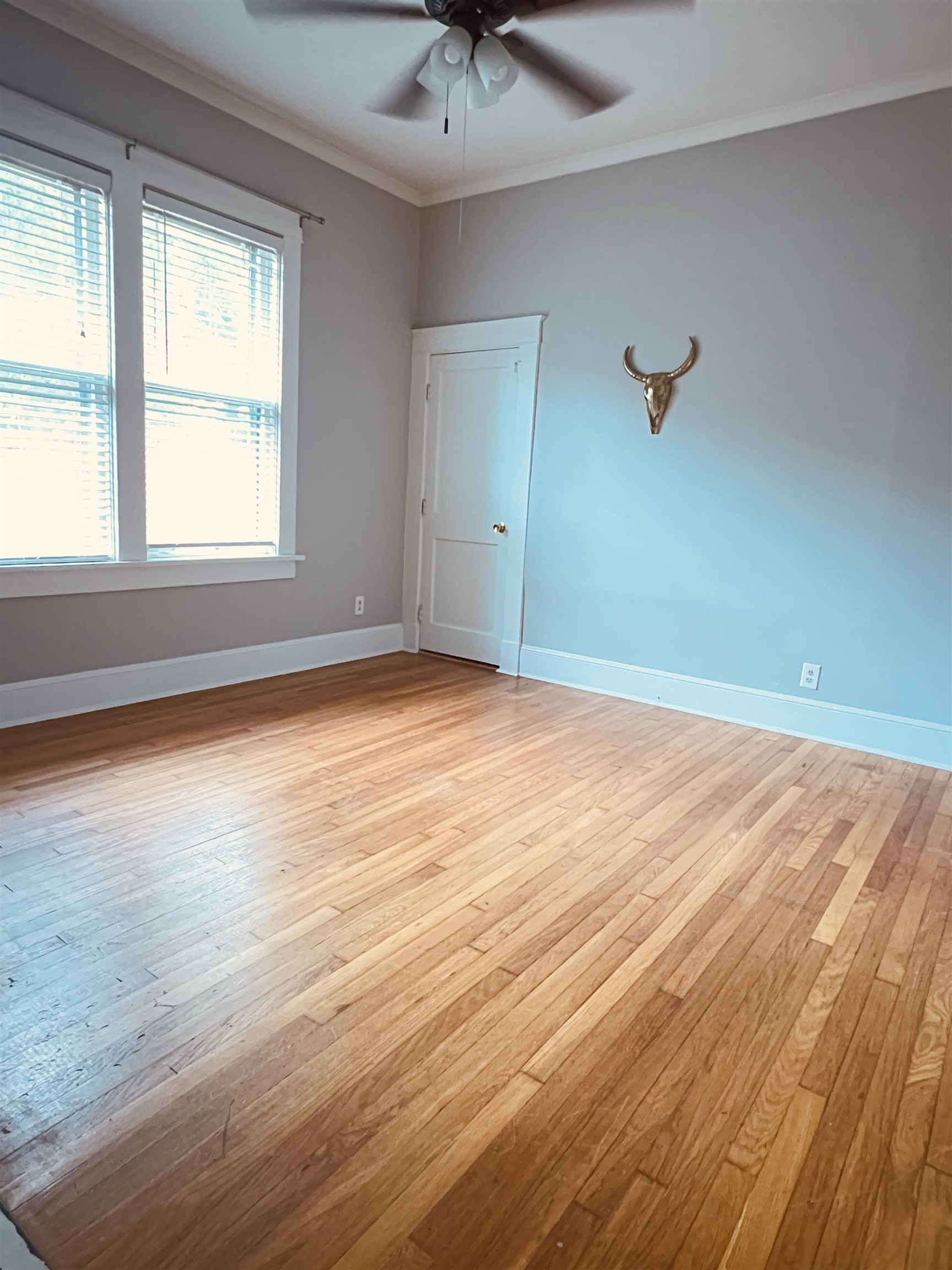 1925 Nelson Avenue Memphis, TN 38104 - Photo 26 of 39 Downstairs bedroom with hardwood flooring