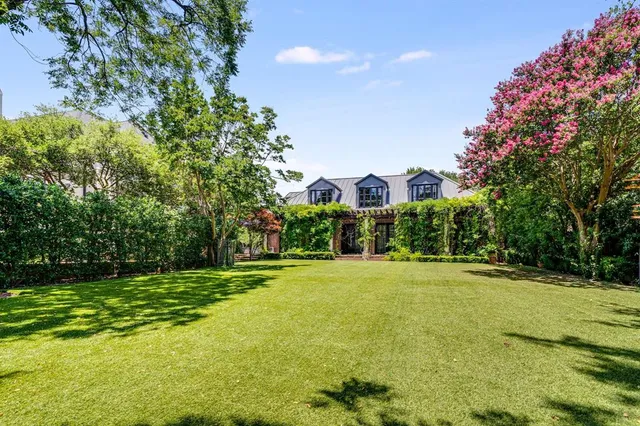 a view of a big yard with plants and large trees
