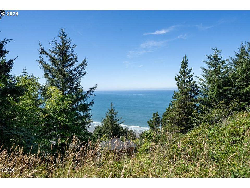 Maxwell Mountain Road Oceanside, OR 97134 - Photo 12 of 14